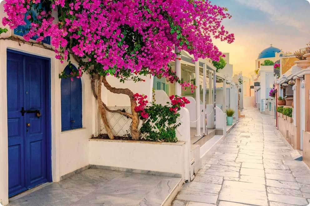 Blue door, pink bougainvillea and a whitewashed lane in Santorini